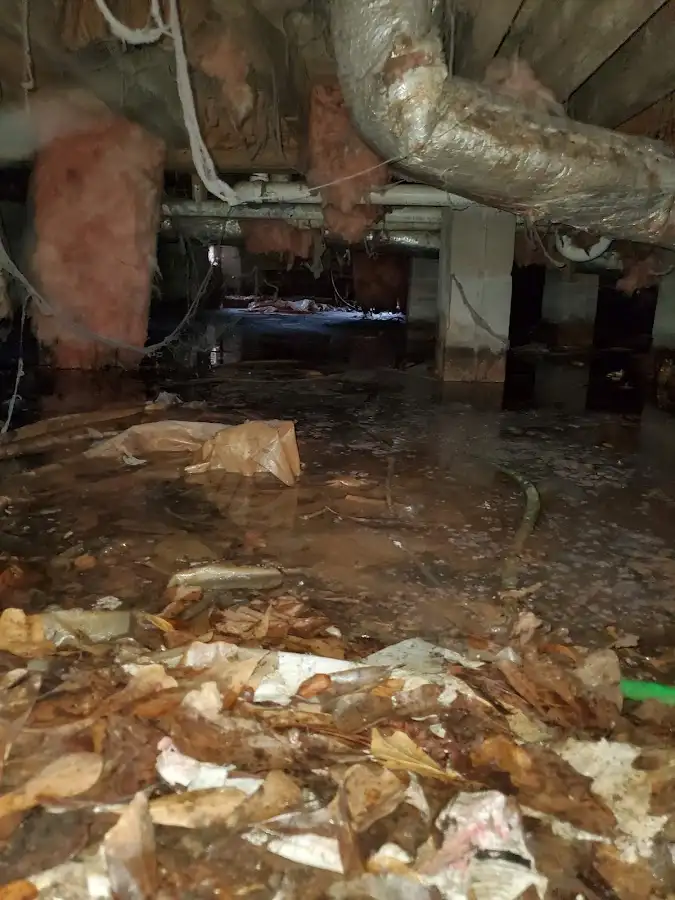Crawl space flood assessment for Commercial Water Damage Restoration in Wilmore