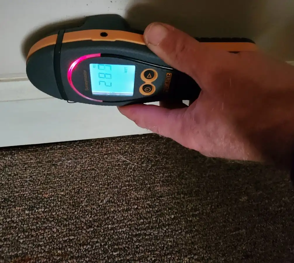 Moisture detection at baseboard during Mold Inspection & Testing in Wilmore